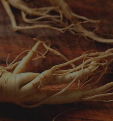 Tongkat Ali (Root)
