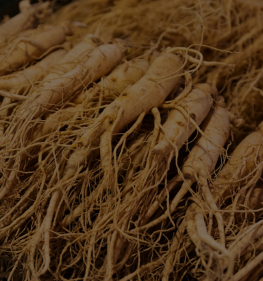 Ginseng (Root):